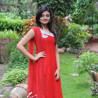Nikitha Narayan New Pictures | Picture 68852